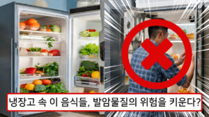 냉장고 보관방법